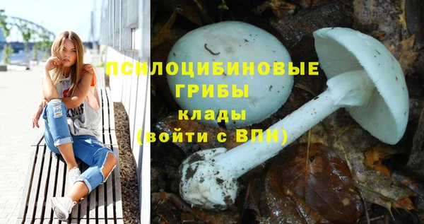 мяу мяу мука Волоколамск