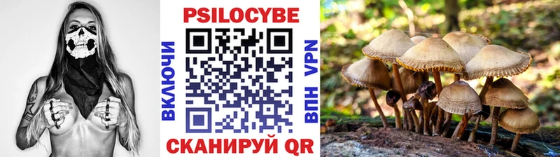 Псилоцибиновые грибы Magic Shrooms  сколько стоит  Афипский 